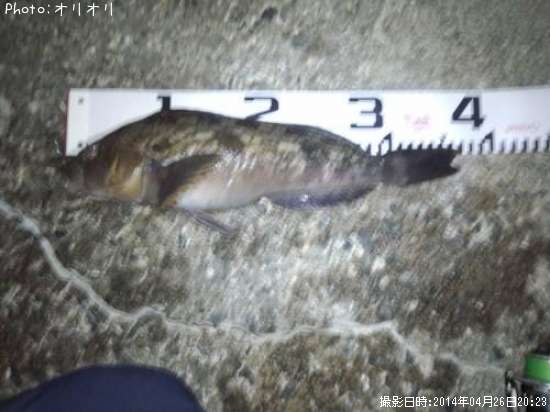 �����ʥ�