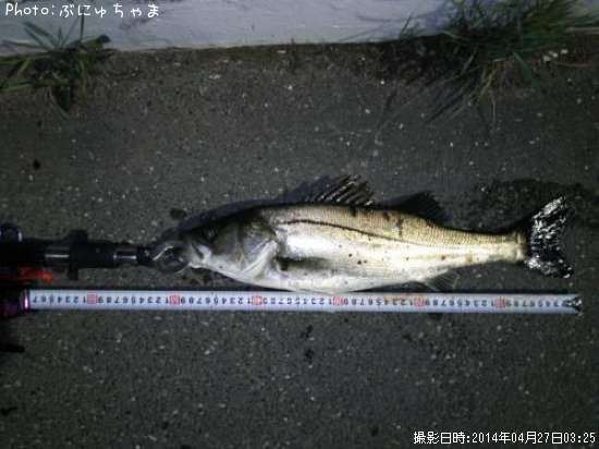 �����Х�