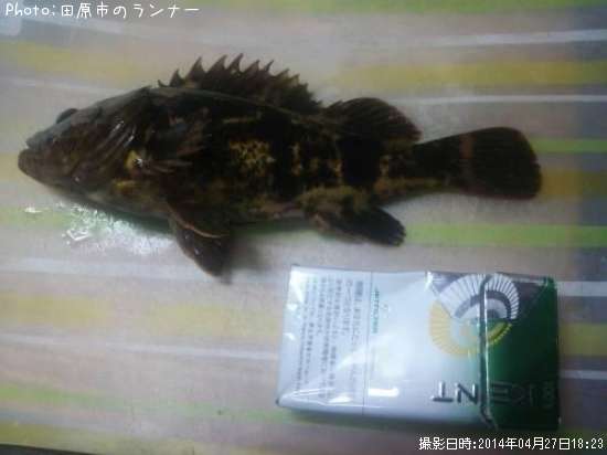 �����Υ���Х�