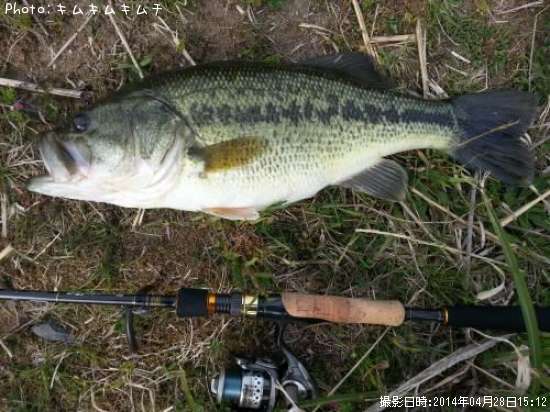 �֥�å��Х�