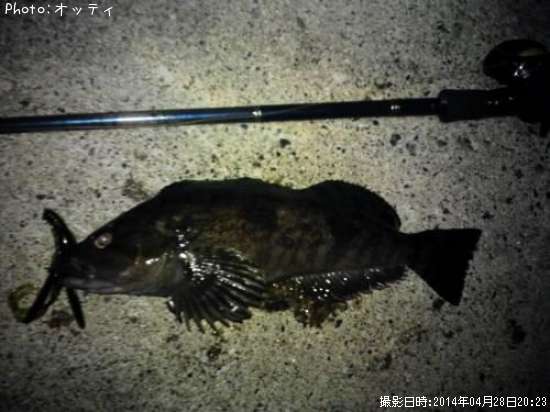 �����ʥ�