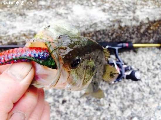 �֥�å��Х�