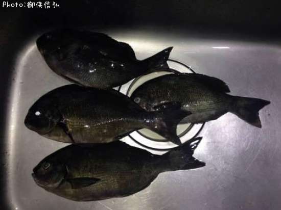 ��Ĺ�᥸��