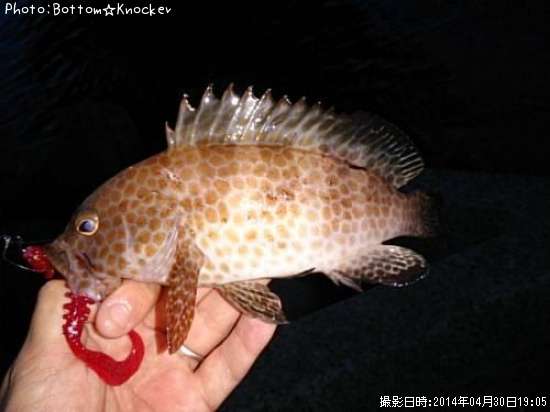 �������ϥ�