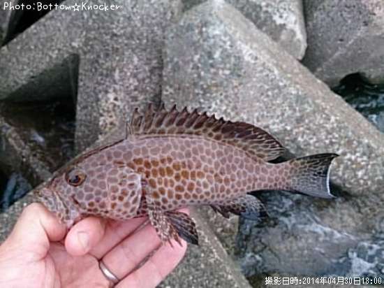 �������ϥ�