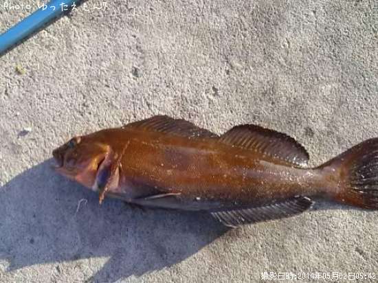 �����ʥ�