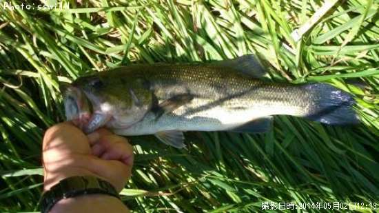 �֥�å��Х�