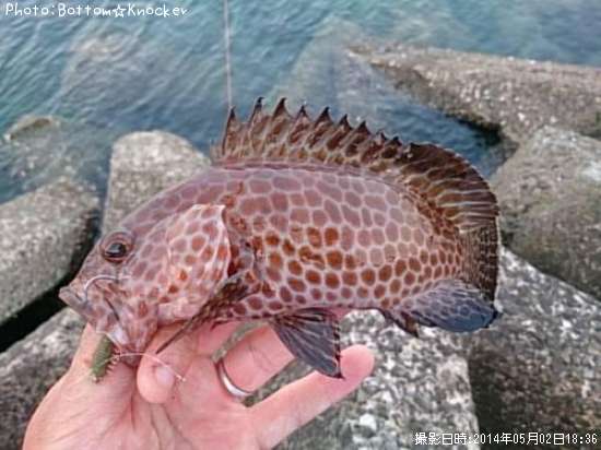 �������ϥ�