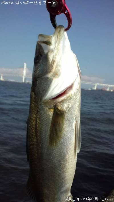 �����Х�