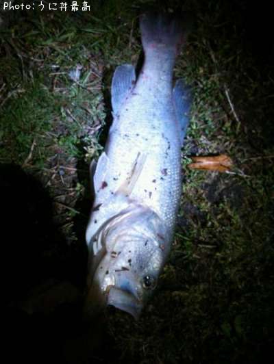 �֥�å��Х�