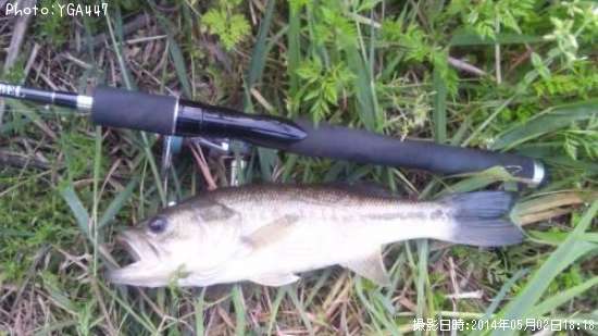 �֥�å��Х�