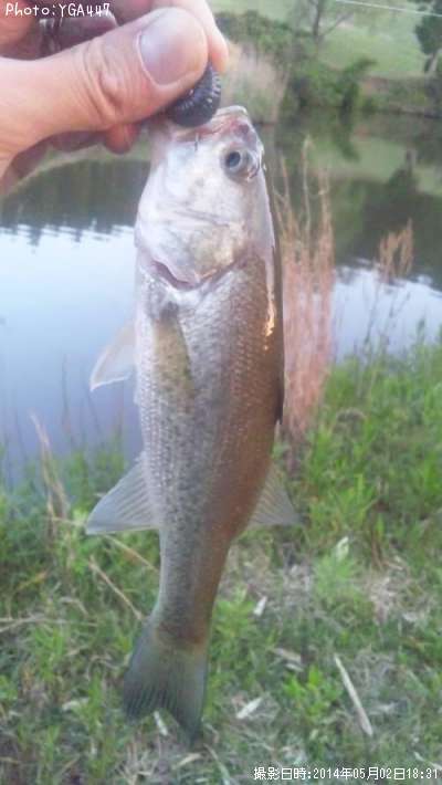 �֥�å��Х�