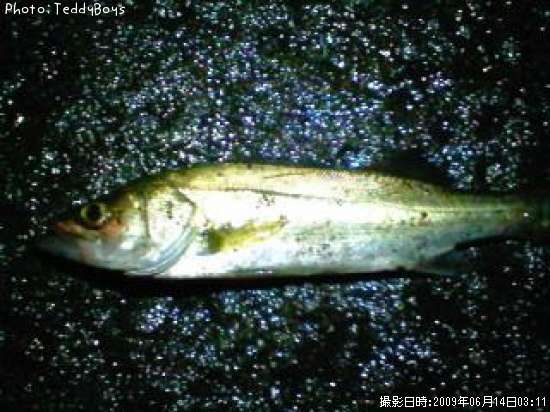 �����Х�