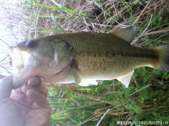 �֥�å��Х�