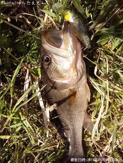 �֥�å��Х�