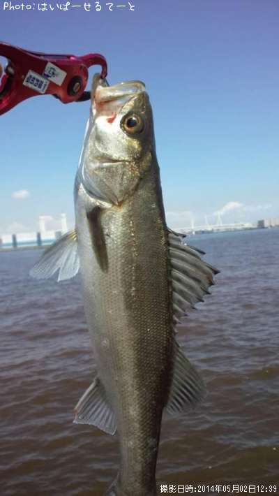 �����Х�