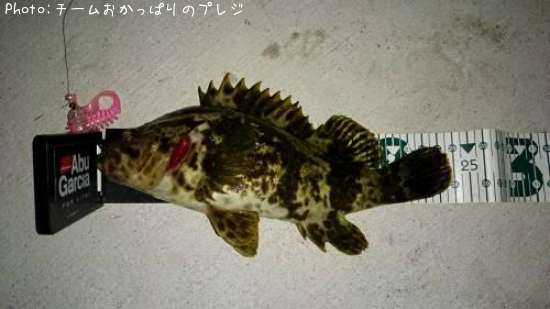 �����Υ���Х�