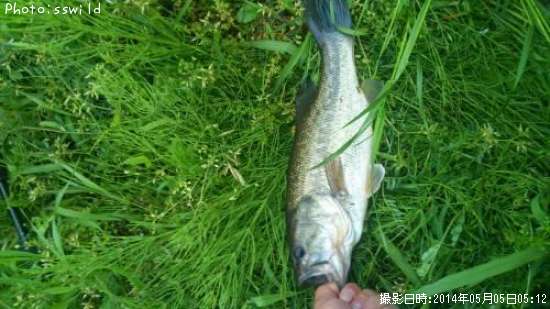 �֥�å��Х�