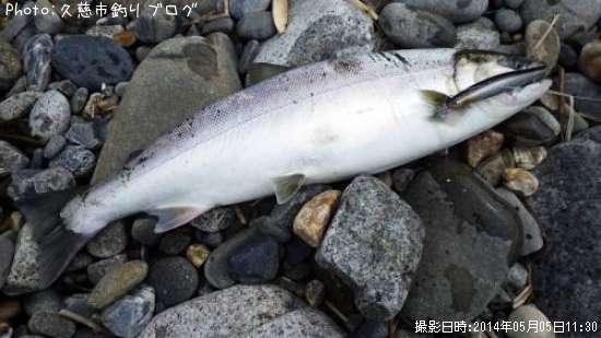 ������ޥ�