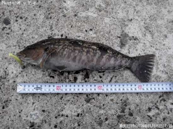 �����ʥ�