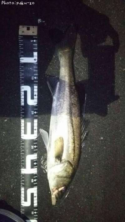 �����Х�