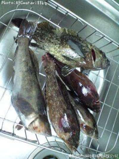 �����ʥ�