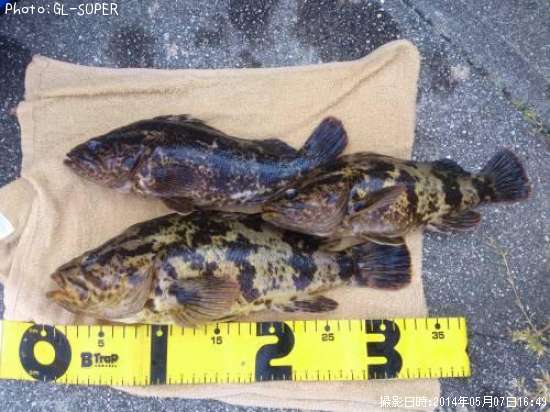 �����Υ���Х�