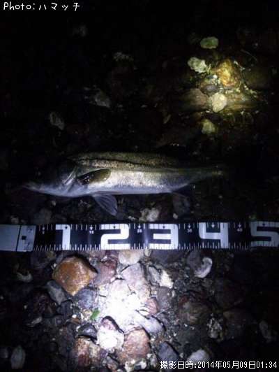 �����Х�