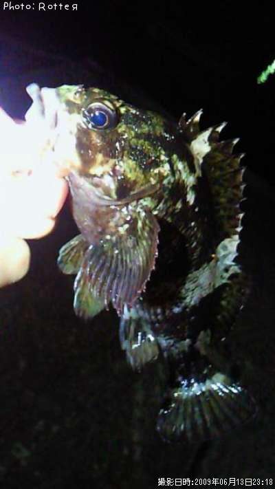 �����Υ���Х�