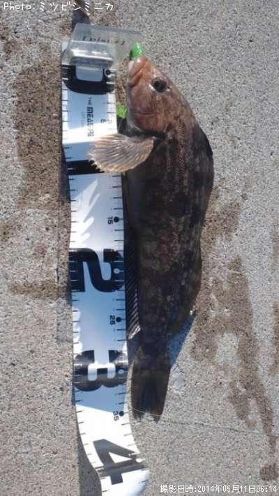 �����ʥ�