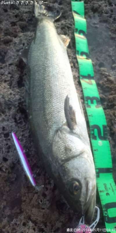 �����Х�