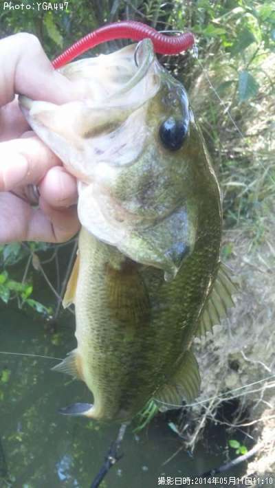 �֥�å��Х�