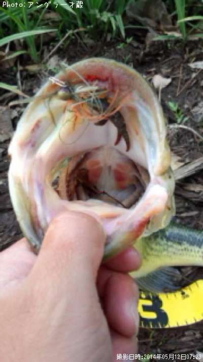 �֥�å��Х�