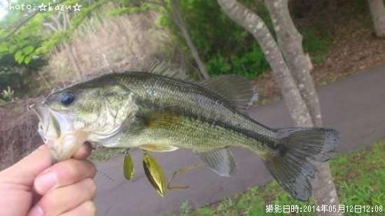 �֥�å��Х�