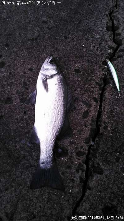 �ҥ饹����