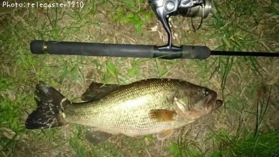 �֥�å��Х�