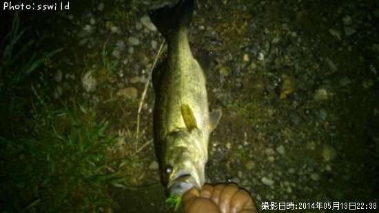 �֥�å��Х�