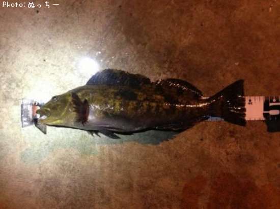 �����ʥ�