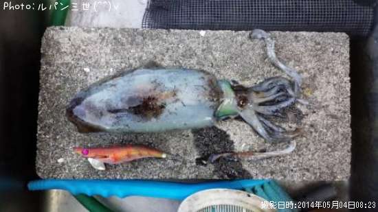 �����ꥤ��