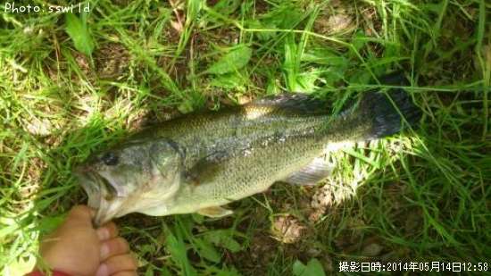 �֥�å��Х�