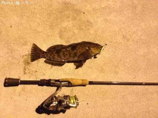 �����ʥ�