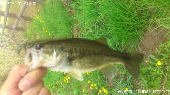 �֥�å��Х�