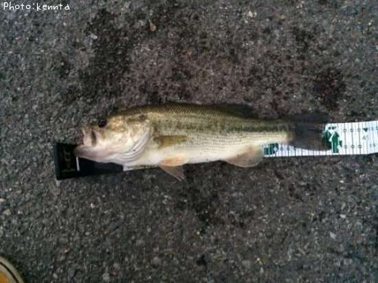 �֥�å��Х�