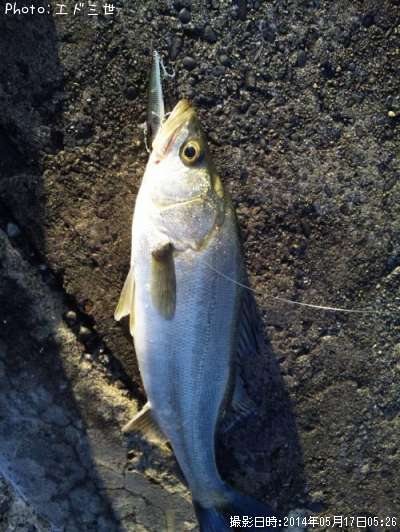 �����Х�