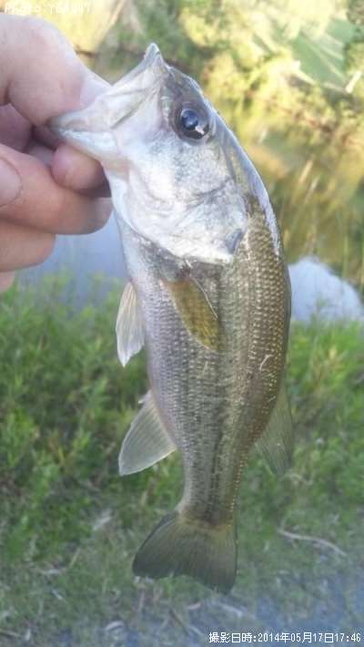 �֥�å��Х�