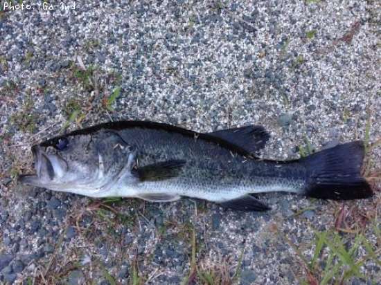 �֥�å��Х�