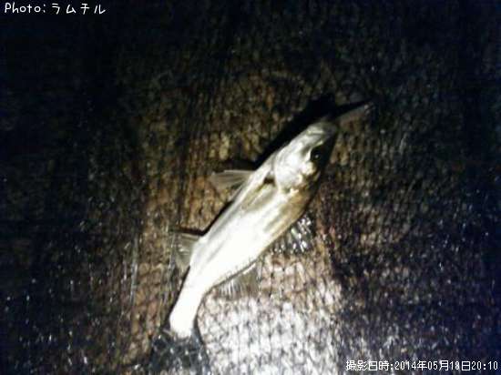 �����Х�