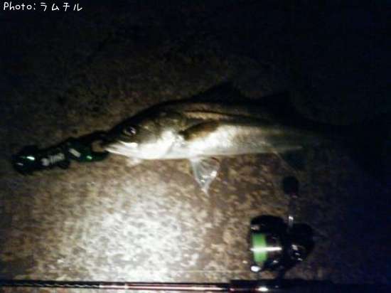 �����Х�