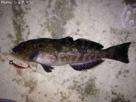 �����ʥ�