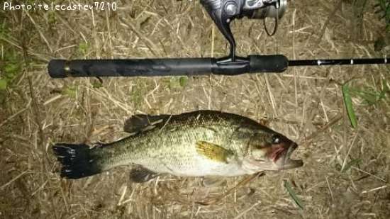 �֥�å��Х�